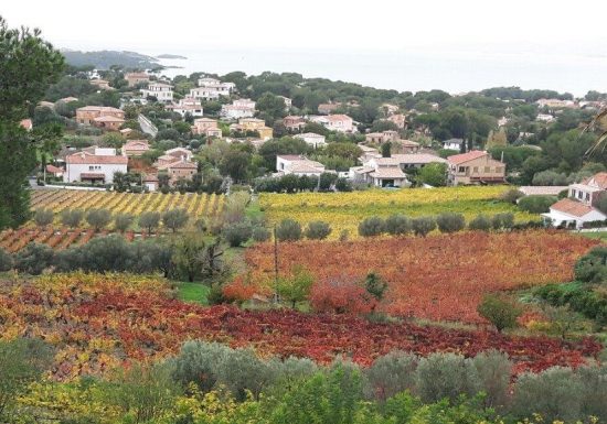 Domaine de la Mourrette