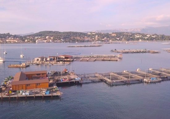 Ferme marine Hydraloup, le stand du pêcheur