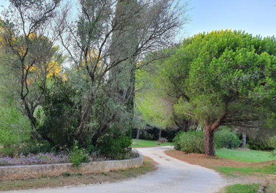 Camping La Pinède