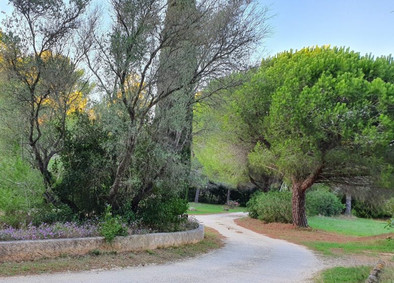 Campsite La Pinède