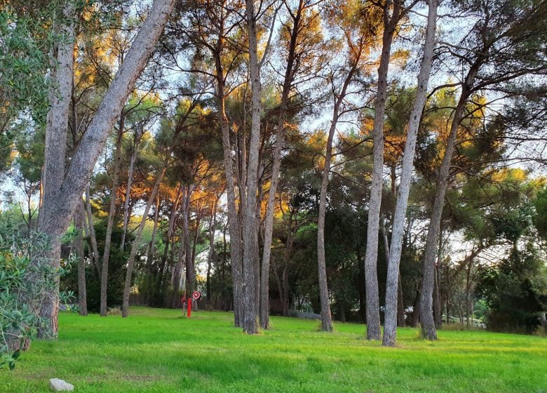 Campsite La Pinède