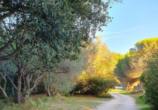 Camping La Pinède