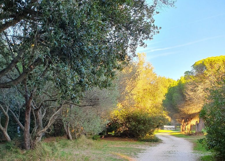 Camping La Pinède