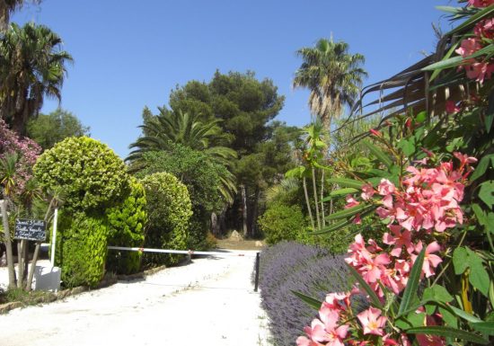 Camping La Pinède