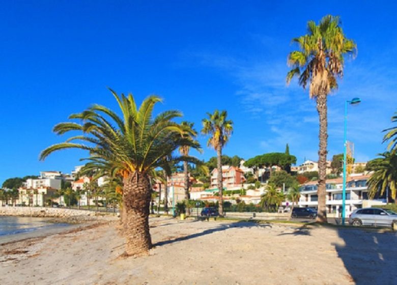 SAS G2PI – T3 Appartement 19
