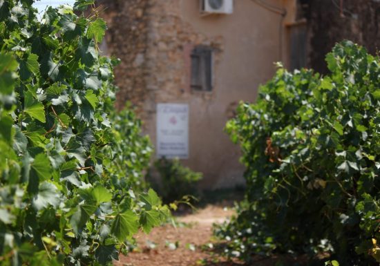 Domaine de l’Estagnol