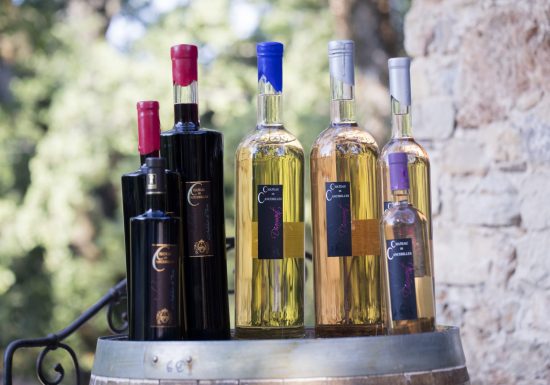 Château de Cancerilles