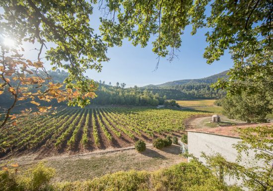 Château de Cancerilles