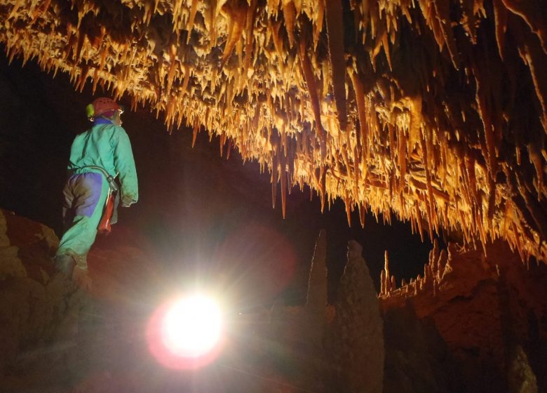 Canyoning mit ExpéNature