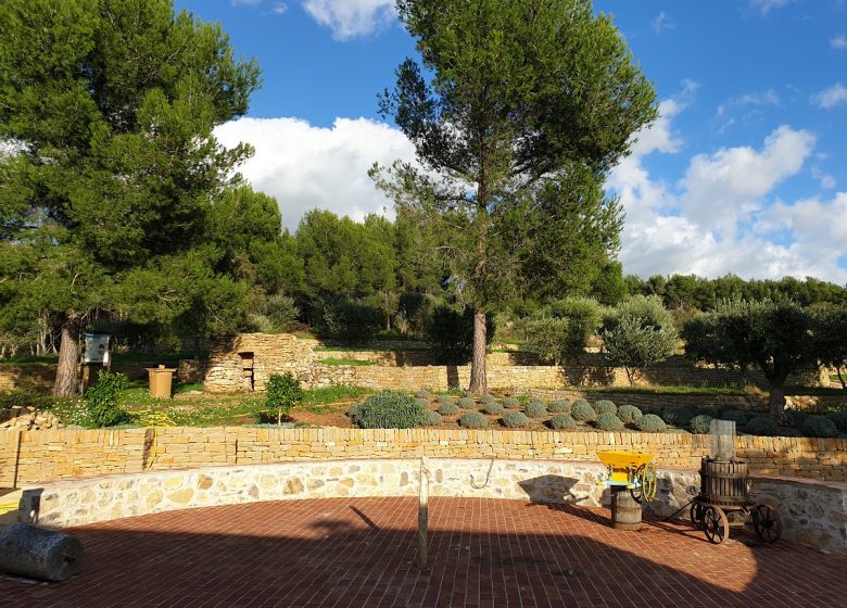 Der Garten der Oliven