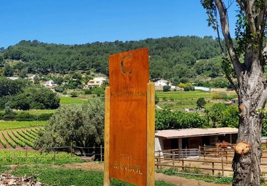 Château Croix d’Allons