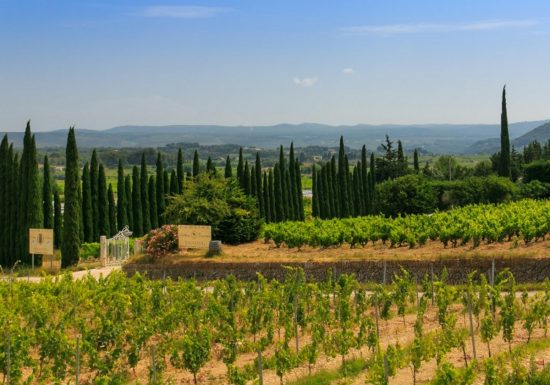 Domaine de la Roche Redonne