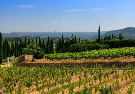 Château Guilhem Tournier
