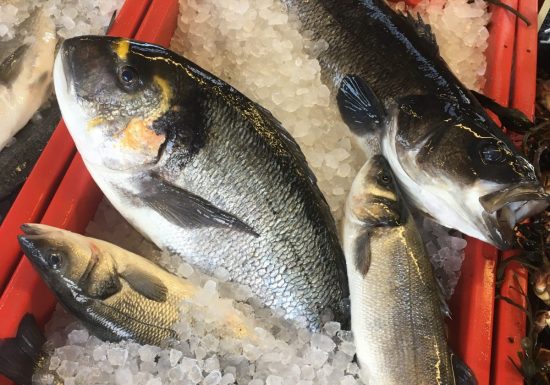 Ferme marine Hydraloup, le stand du pêcheur