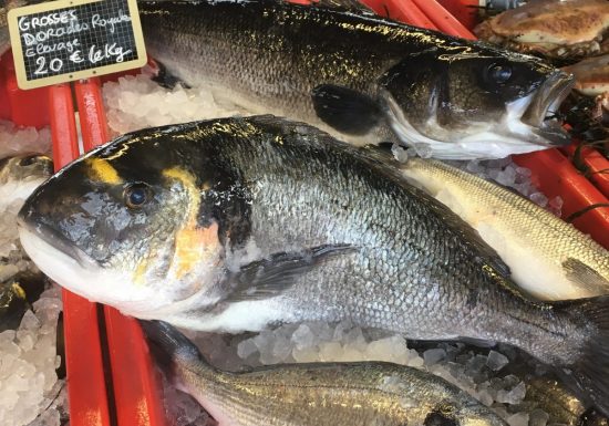 Ferme marine Hydraloup, le stand du pêcheur