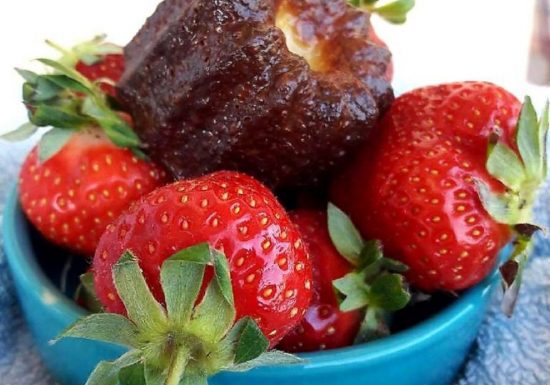 Le Cannelé Français