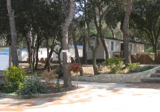 Camping Buffalo Hacienda