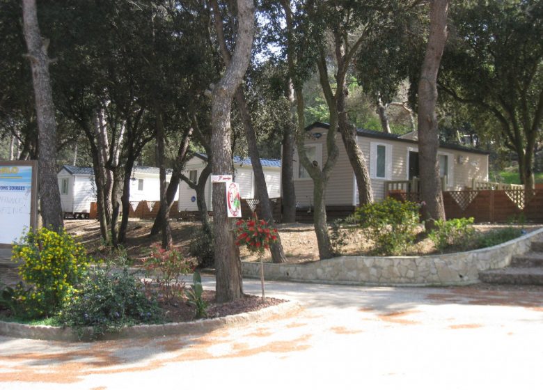 Camping Buffalo Hacienda