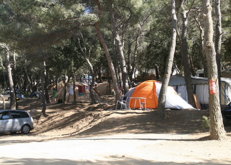 Camping Buffalo Hacienda