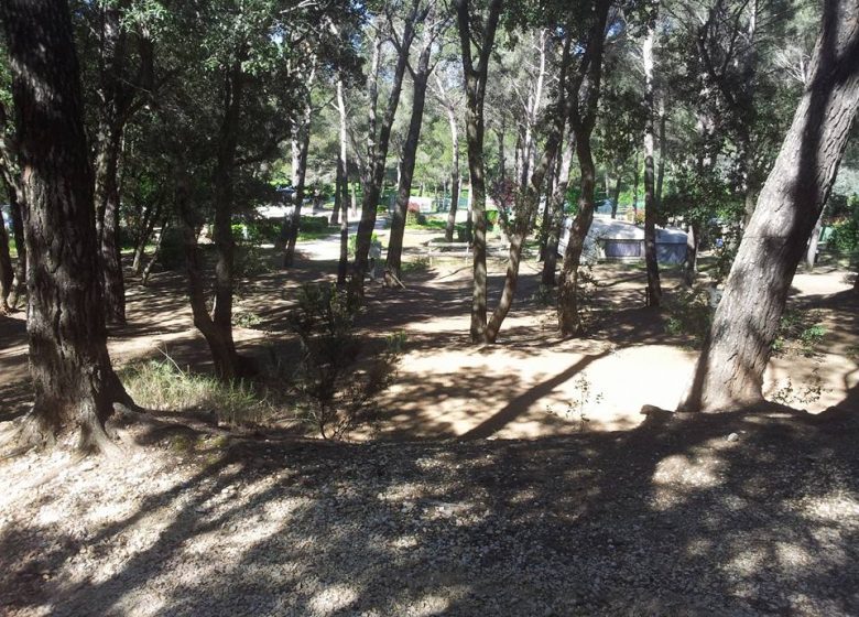 Camping Buffalo Hacienda