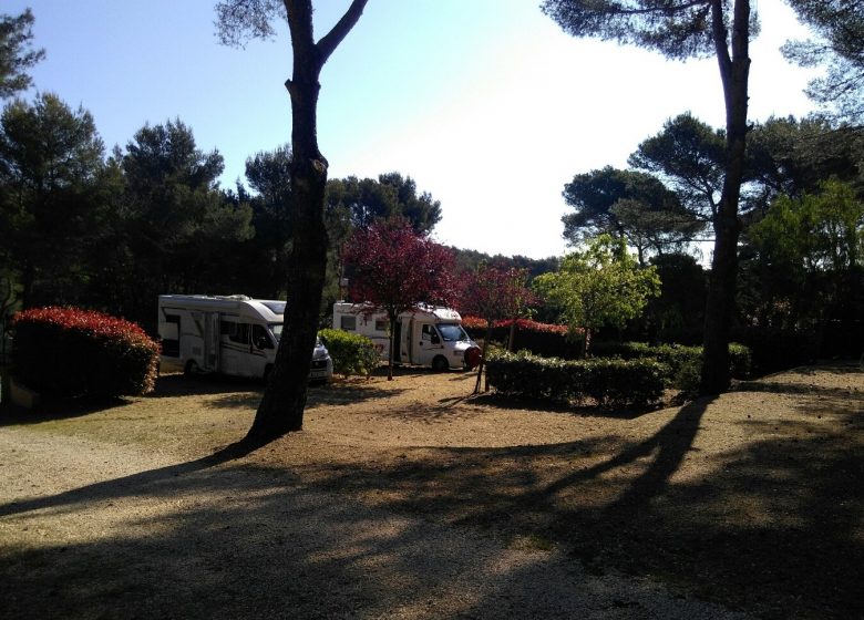 Camping Buffalo Hacienda