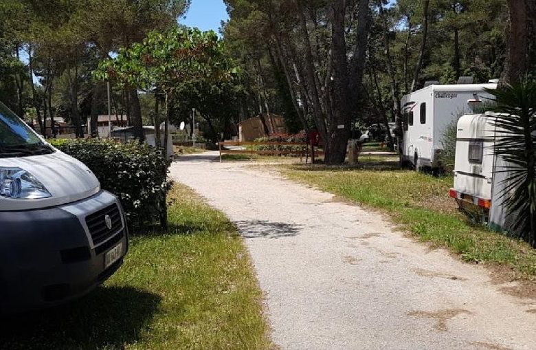 Camping Buffalo Hacienda