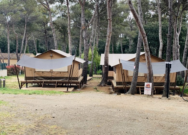 Camping Buffalo Hacienda