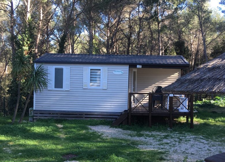 Camping Buffalo Hacienda