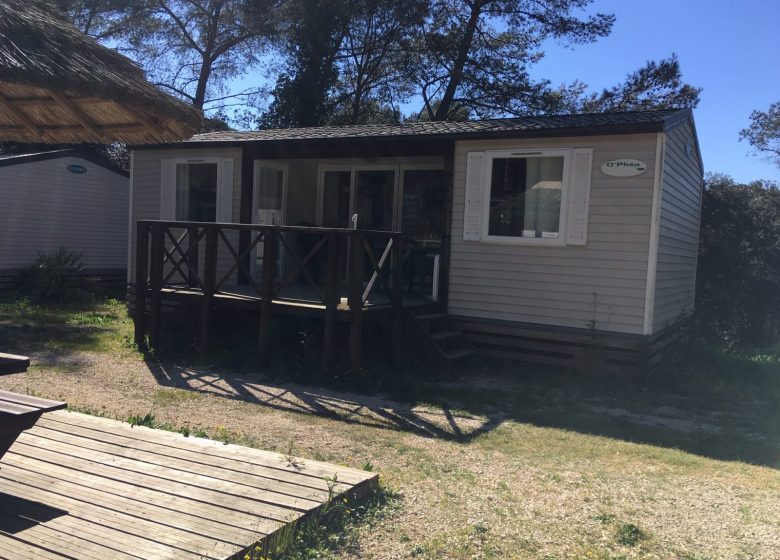 Camping Buffalo Hacienda