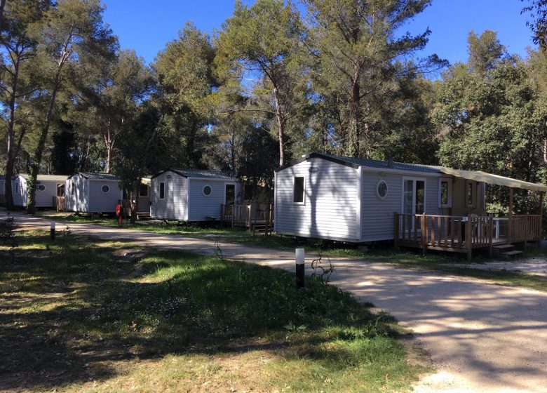 Camping Buffalo Hacienda