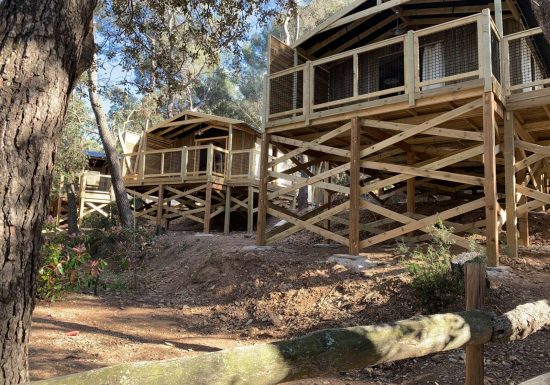 Camping Buffalo Hacienda