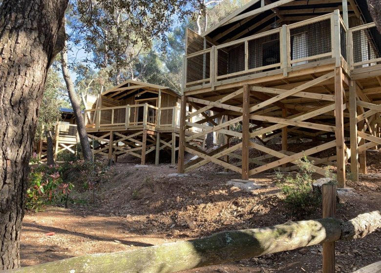 Camping Buffalo Hacienda