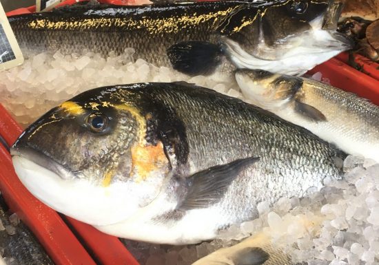 Ferme marine Hydraloup, le stand du pêcheur