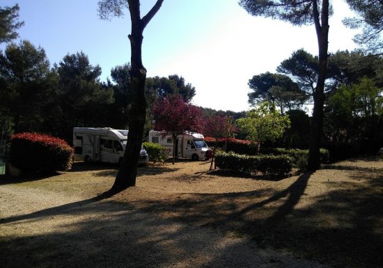 Camping Buffalo Hacienda
