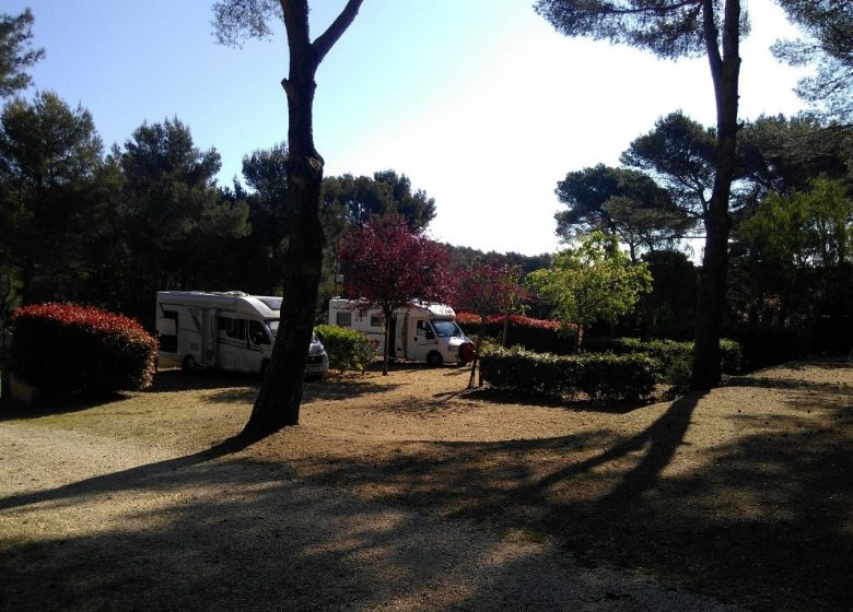 Camping Buffalo Hacienda