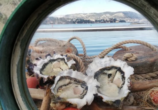 Le Ponton de Thalassa