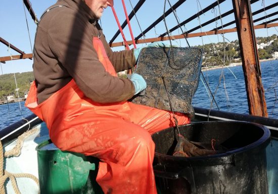 Le Ponton de Thalassa