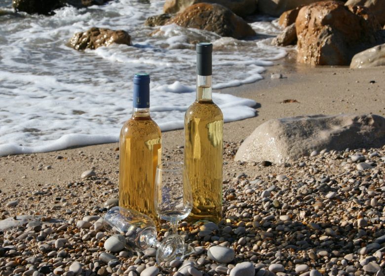 Weinfest – Die AOC Cassis lädt Sie ein, ihr 89-jähriges Jubiläum zu feiern