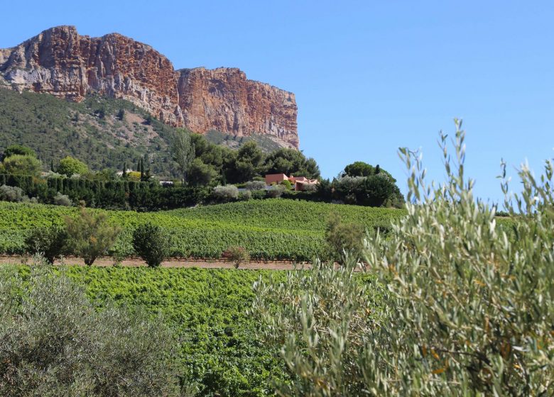 Weinfest – Die AOC Cassis lädt Sie ein, ihr 89-jähriges Jubiläum zu feiern