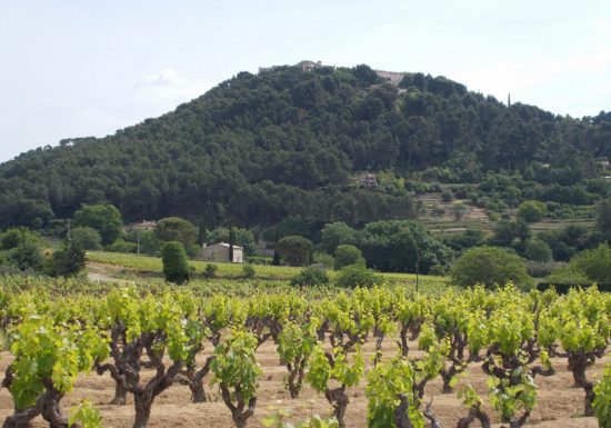 Domaine Marie Bérénice