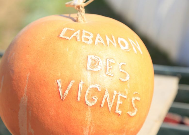 Cabanon des vignes