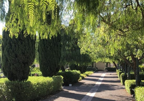 Les jardins de la ville