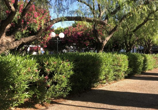 Les jardins de la ville