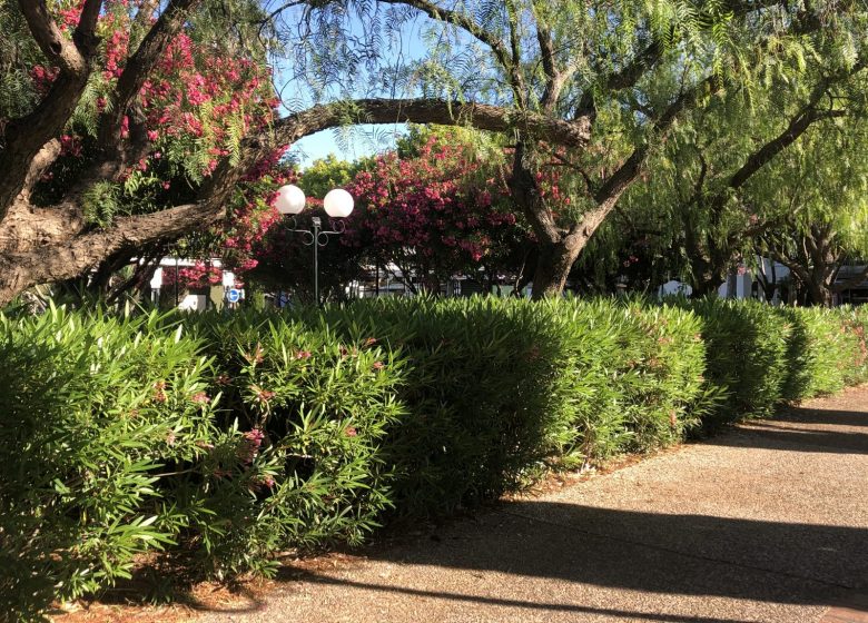 Les jardins de la ville