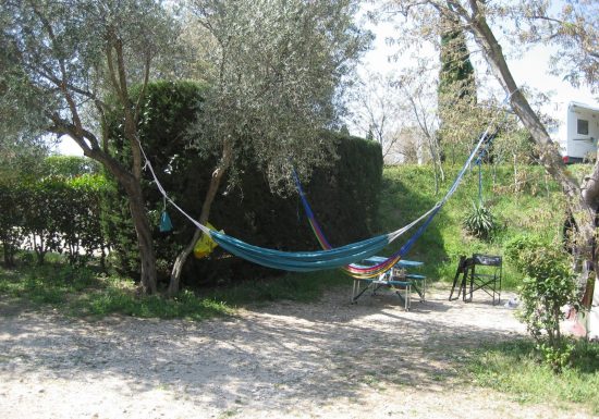 Les Cigales