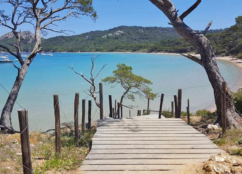 Atlantide /  Ile de Porquerolles