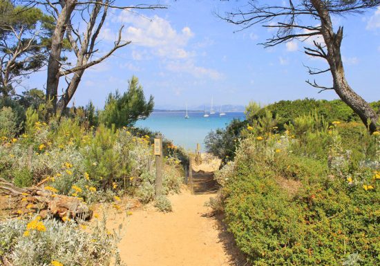 Atlantide /  Ile de Porquerolles