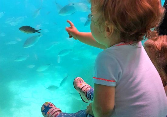 Atlantide / Aquascope