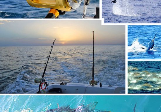 Bandol Fishing Club