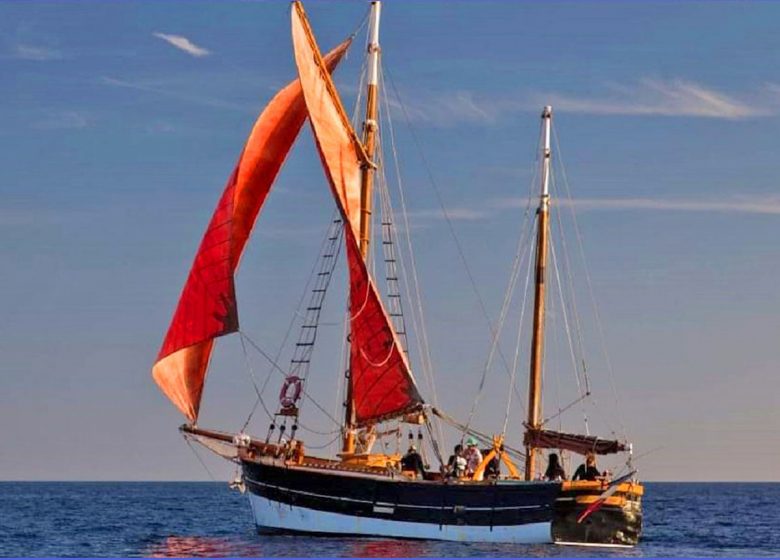 Le Cap des Palmes /  Sorties en Mer avec Skipper